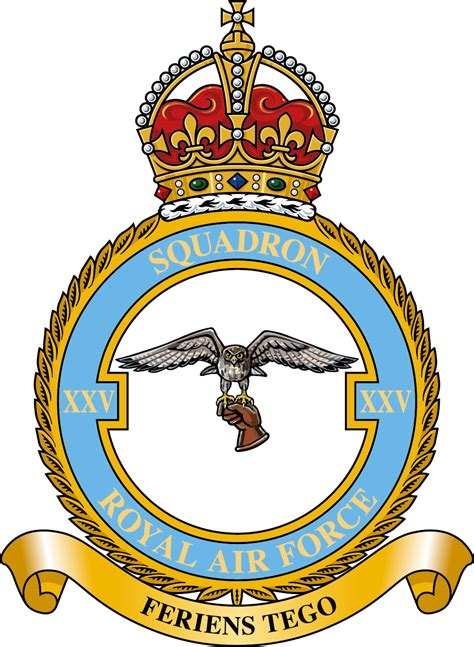 xxvbf|XXV (Fighter) Squadron .